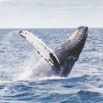 5 things you can do to recover money stolen from your bank account