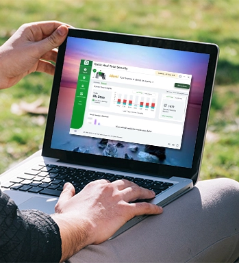 Customized Visual Reports